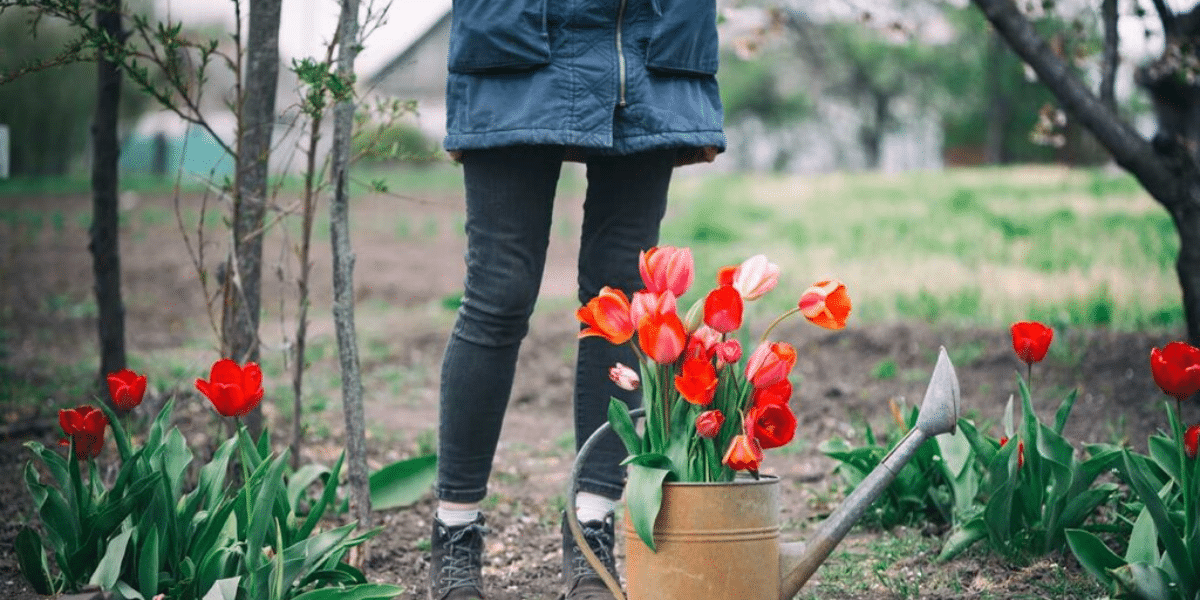 urban garden
