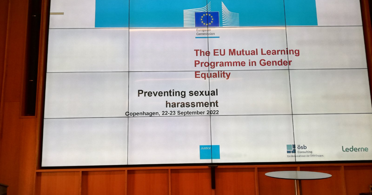 The Mutual Learning Programme in Gender Equality