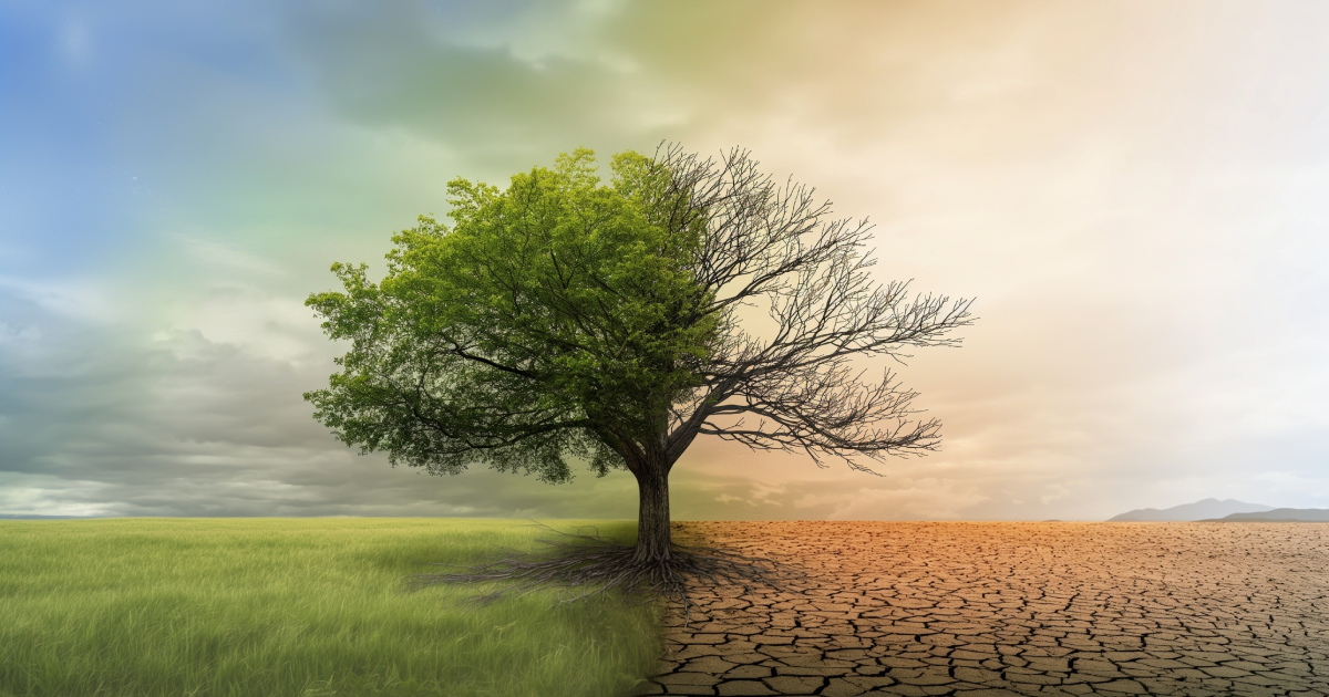Youth climate action